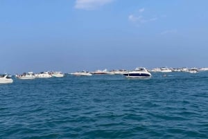 Chicago: Private Yacht Charter