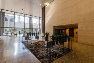 Visite guidée des gratte-ciel modernes de Chicago