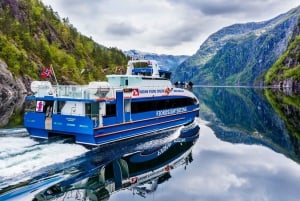 De Bergen : Croisière panoramique dans les fjords jusqu'à Mostraumen
