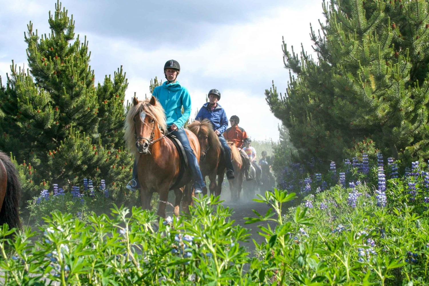 Desde Reikiavik: Excursión a Caballo por los Campos de Lava de Islandia