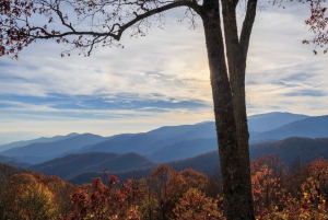 Great Smoky Mountains NP & Cades Cove - tur med egen guide