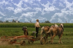 Lancaster County: Amish Farmlands, Museum Tour, Farm Visit