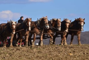 Lancaster County: Amish Farmlands, Museum Tour, Farm Visit