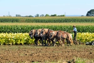 Lancaster County: Amish Farmlands, Museum Tour, Farm Visit