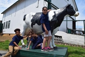Lancaster County: Amish Farmlands, Museum Tour, Farm Visit
