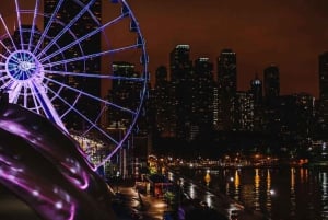 Chicago: Bilet normalny i ekspresowy na Centennial Wheel Navy Pier