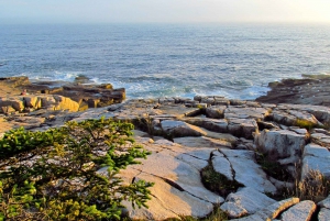 Ocean Path: Acadia Self-Guided Walking Audio Tour