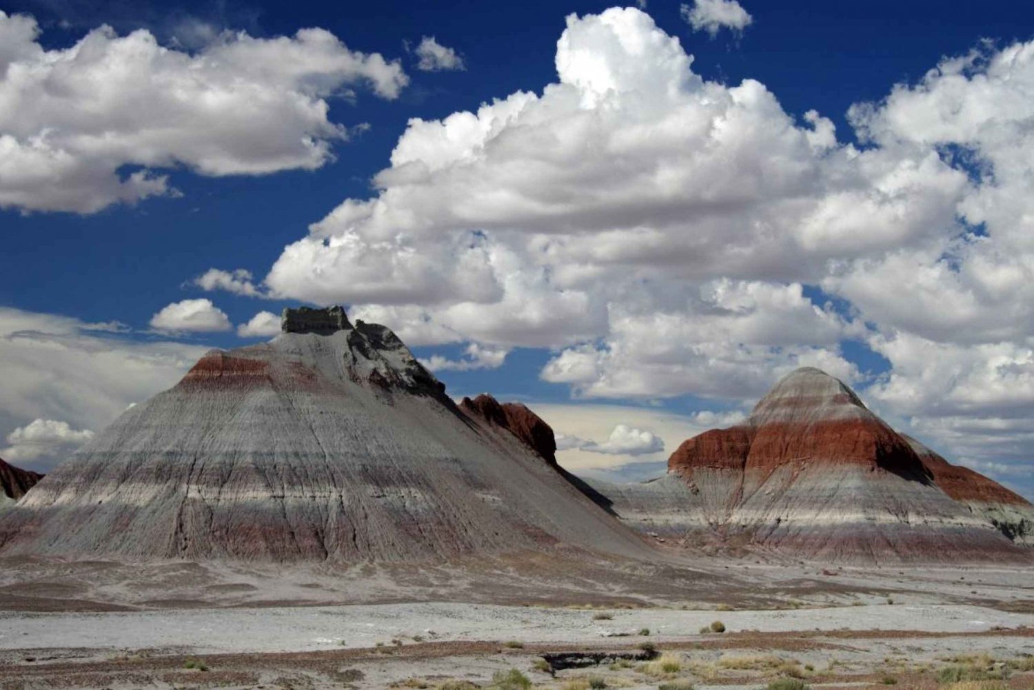 Petrified Forest National Park Self-Guided Audio Tour