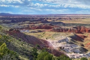 Petrified National Park: Self-Guided Driving Discovery Tour