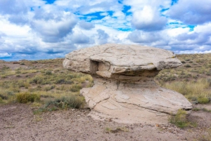 Petrified National Park: Self-Guided Driving Discovery Tour