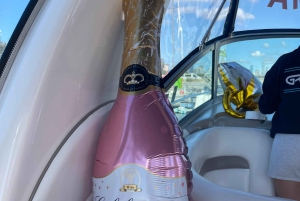Privé bootverhuur in Chicago - Verken de skyline van Chicago
