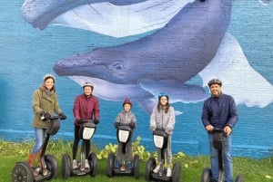 Sheboygan: Kunst & Water Segwaytour