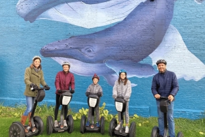 Sheboygan: Segway-tur med kunst og vann