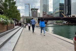 Het beste van Chicago tijdens een wandeltocht van 2 uur