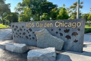 Экскурсия по Чикаго в стиле ЛГБТК+