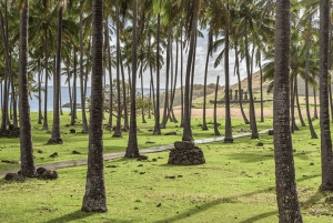 2 puolen päivän ja 2 koko päivän yksityisretkiä | Vaihtoehto A