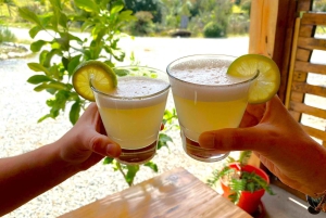 4 uur durende Chileense kookles met drankjes in Santiago