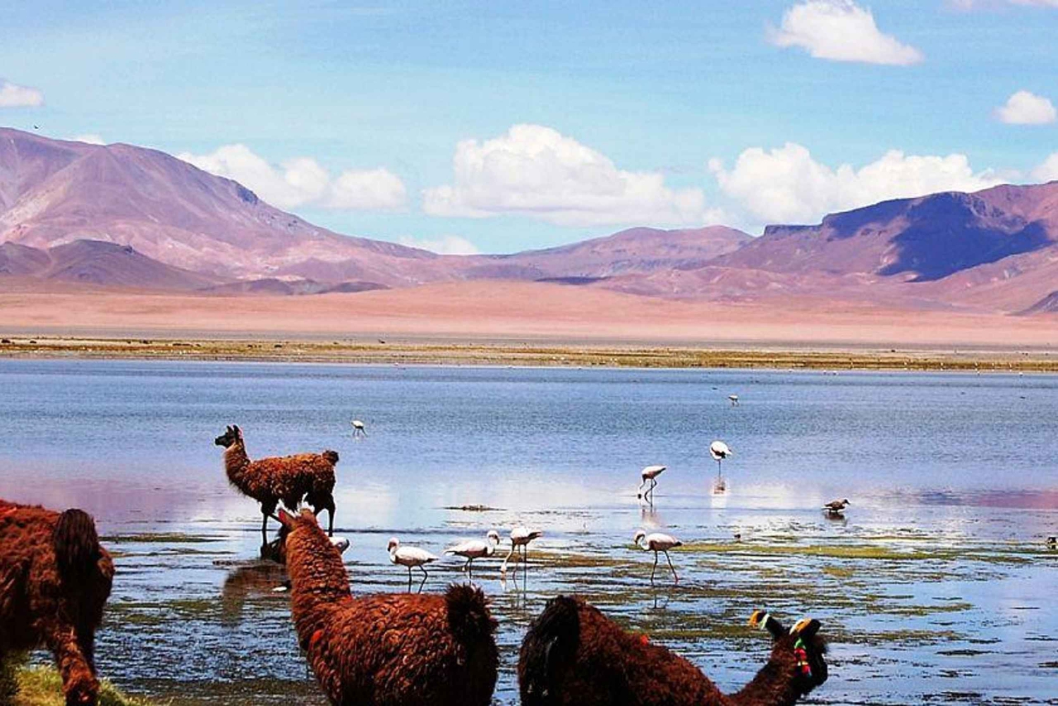 4D/3N SAN PEDRO DE ATACAMA-UYUNI (HIN UND ZURÜCK) SHARED SERVICE