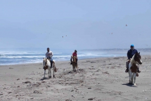 Voyage en 4x4 dans les dunes de Mantagua, dans les terres humides et à cheval F Valparaiso