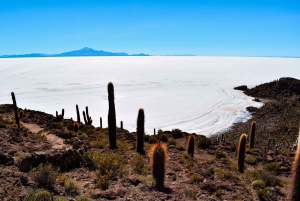 5 días de La Paz a Uyuni vía Sajama - Tour por tierra en grupo reducido