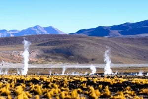 5 Fantastic Tours in the Atacama Desert in 3 Days
