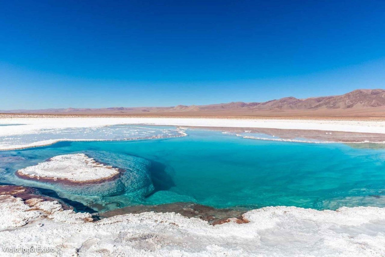 7 laguner i Baltinache | San Pedro de Atacama