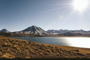 7 lagunas de Baltinache | San Pedro de Atacama