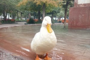 Историческая экскурсия по Сантьяго-де-Чили