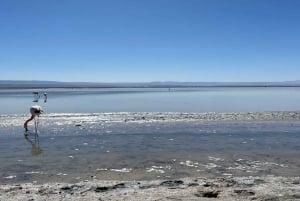 Äventyr i Piedras Rojas: Från slättland till berg