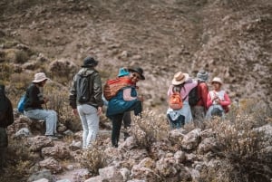 Äventyr i Piedras Rojas: Från slättland till berg