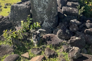 Adventures in Rapa Nui: Turism av hög kvalitet med Easter Island Your Tour.