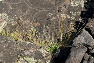 Aventuras en Rapa Nui: Turismo de Alta calidad con Easter Island Your Tour.