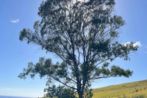 Aventuras en Rapa Nui: Turismo de Alta calidad con Easter Island Your Tour.