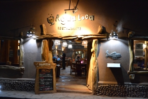 Best restaurants in San Pedro de Atacama