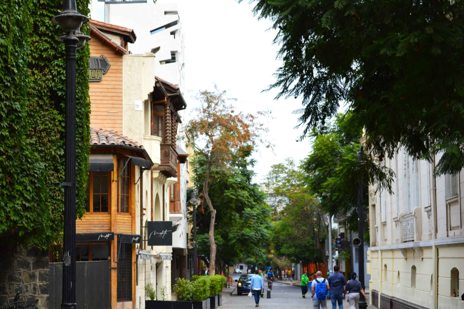 Airport Transfer and Halfday City tour Santiago de Chile