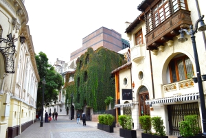 Airport Transfer and Halfday City tour Santiago de Chile