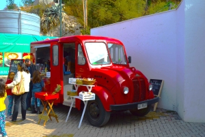 Airport Transfer and Halfday City tour Santiago de Chile