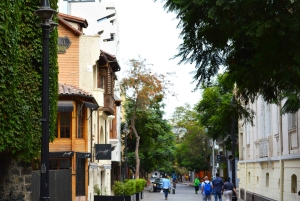 Airport Transfer and Halfday City tour Santiago de Chile