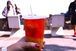 Airport Transfer and Halfday City tour Santiago de Chile