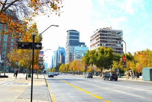 Airport Transfer and Halfday City tour Santiago de Chile