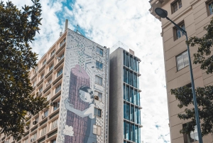 Airport Transfer and Halfday City tour Santiago de Chile