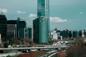 Airport Transfer and Halfday City tour Santiago de Chile