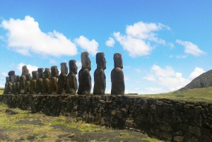 TUTTI INCLUDONO L'ESPERIENZA DEI NATIVI RAPA NUI