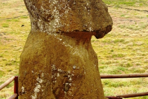 TUTTI INCLUDONO L'ESPERIENZA DEI NATIVI RAPA NUI