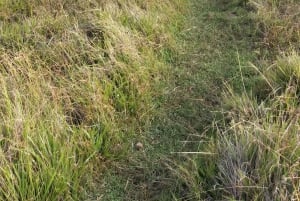 ALLES INCLUSIEF RAPA NUI INHEEMSE ERVARING