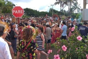 ALLES INCLUSIEF RAPA NUI INHEEMSE ERVARING