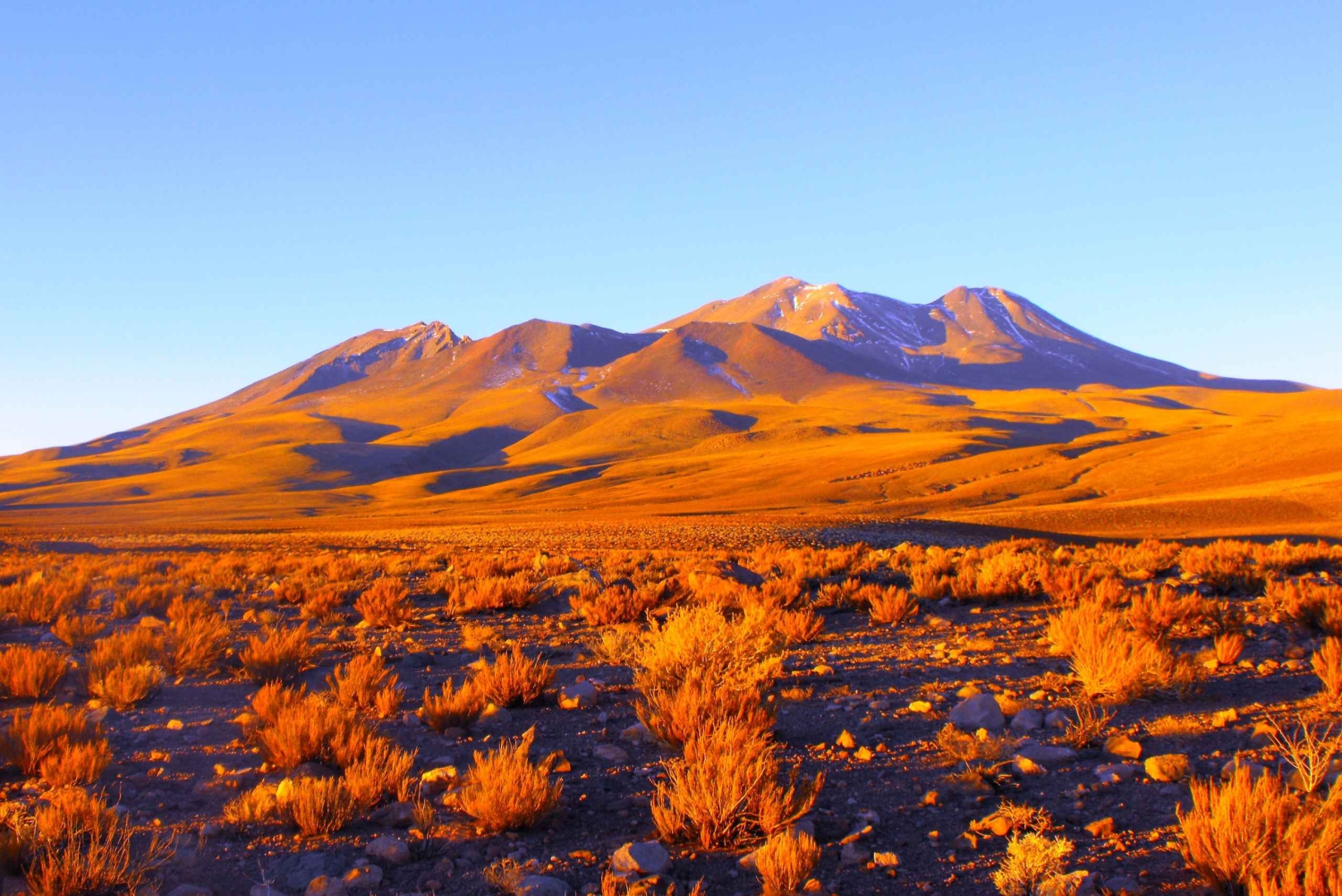 Altiplaniska laguner och röda stenar från San Pedro de Atacama
