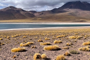 Altiplanic Lagoons and Red Stones from San Pedro de Atacama
