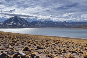 Altiplanic Lagoons and Red Stones from San Pedro de Atacama