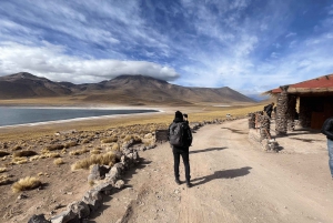Altiplanic Lagoons and Red Stones from San Pedro de Atacama